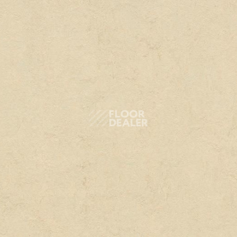 Линолеум Forbo Marmoleum Marbled Authentic 3858 Barbados фото 1 | FLOORDEALER